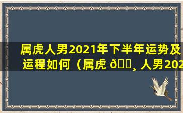 属虎人男2021年下半年运势及运程如何（属虎 🕸 人男2021年下半年运势及运程如何 🦄 呢）